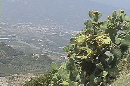 San Filippo landscape